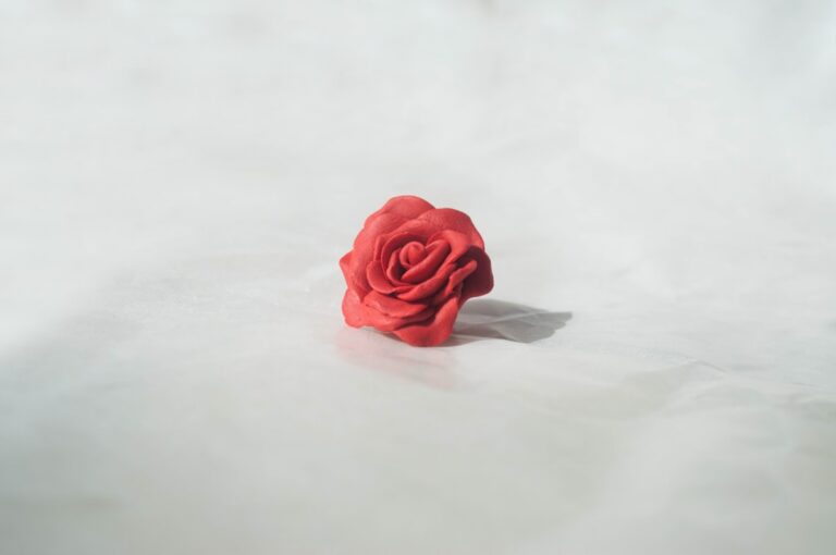 Rosa vermelha de cerâmica fria (biscuit) feita à mão, sobre fundo branco