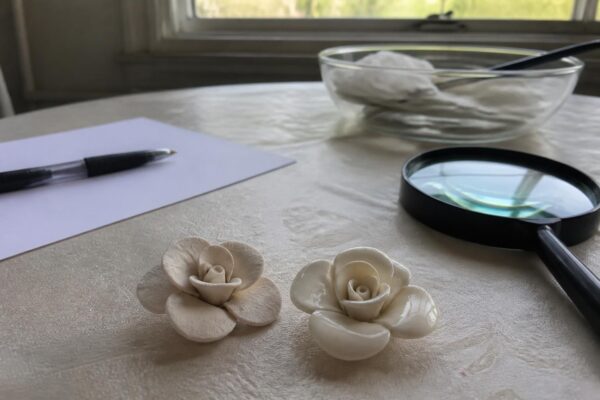 Duas flores de massa seca lado a lado sobre a mesa, com lupa e caderno de anotações